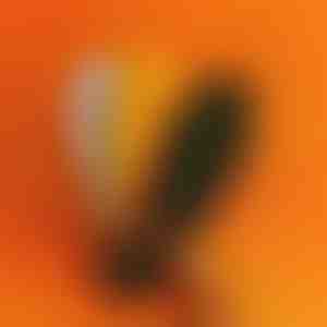 Ортопедски влошки со масажни точки | STEPEASE