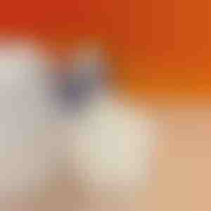 Перница за пета за намалување на болката во петата | STEPHEEL